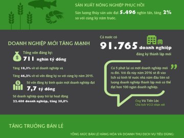 [Infographic] Nhìn lại bức tranh kinh tế Việt Nam 10 tháng năm 2016