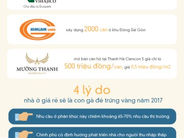 [Infographic] Vì sao nhà ở giá rẻ là phân khúc vàng năm 2017?