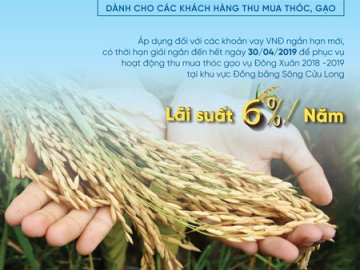 VietinBank cho vay thu mua thóc gạo với lãi suất ưu đãi 6%